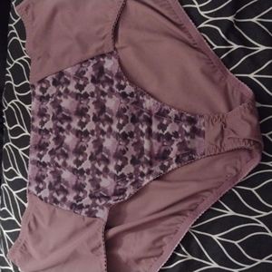 Rhonda Shear Mesh briefs 3X (24-26)